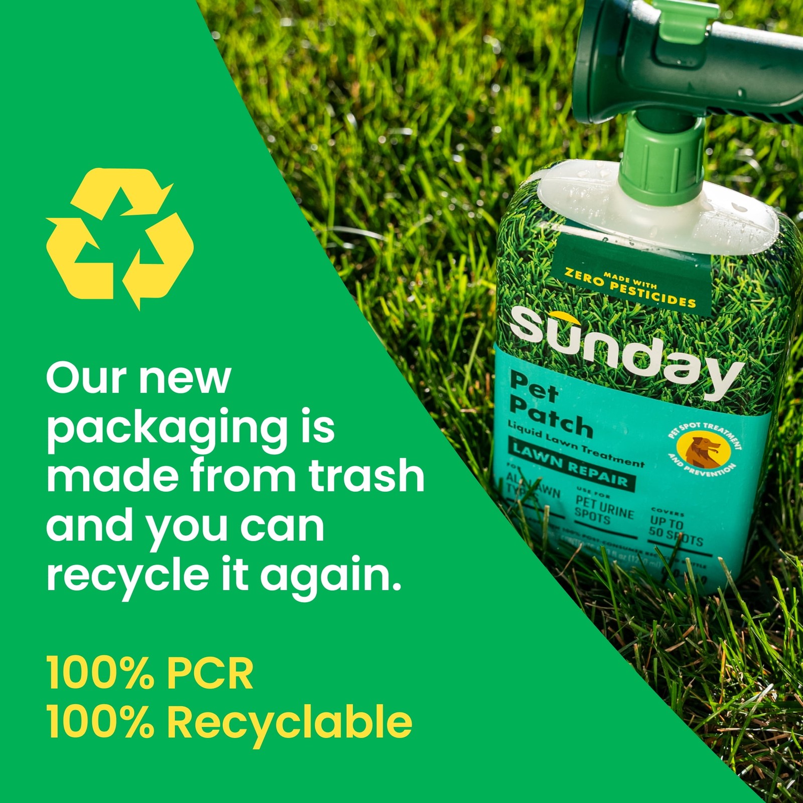 Sunday Pet Patch Ready-to-Spray Lawn Repair for Pet Spots, 42.3 oz, 0-0-0.10
