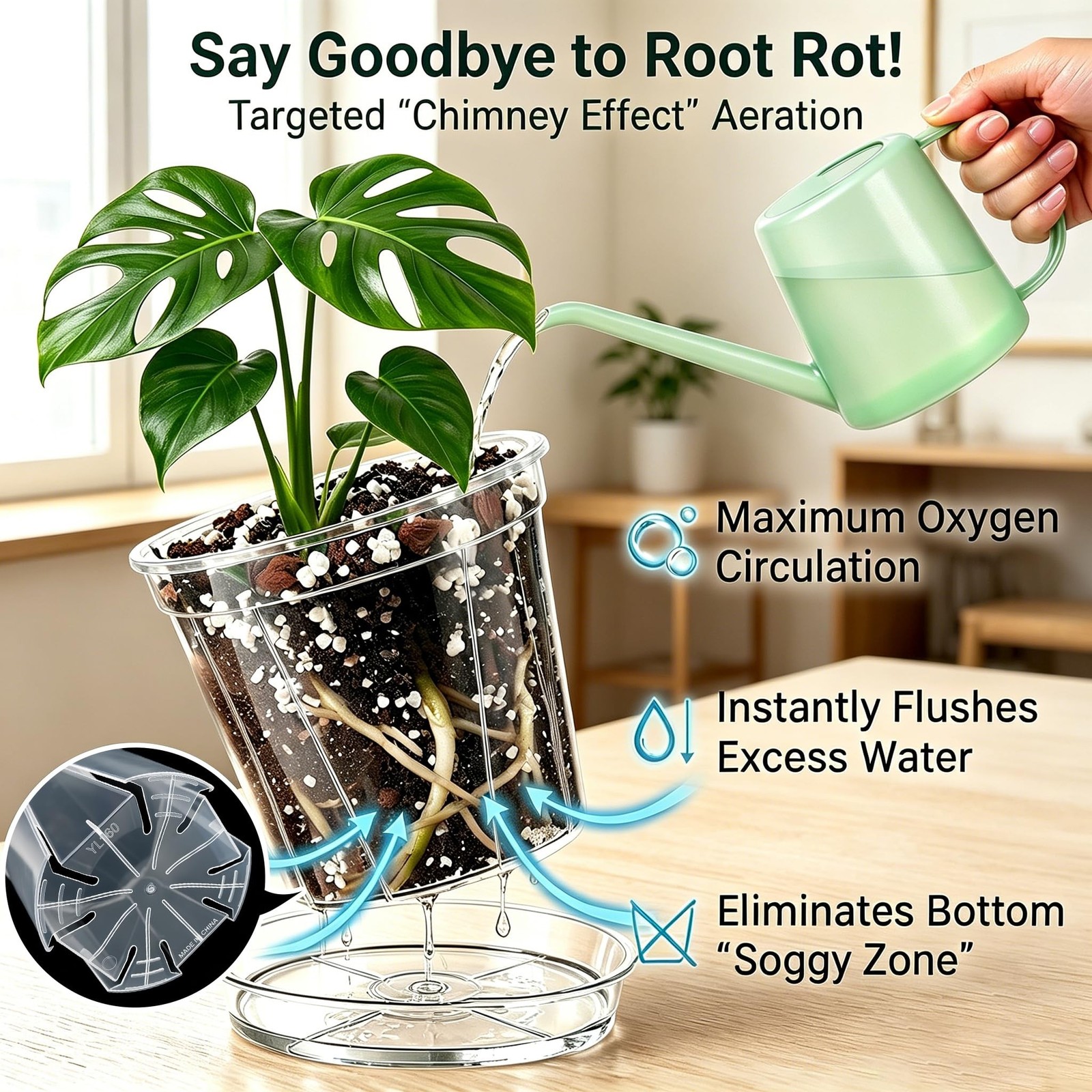 Root-Safe Clear Plant Pots for Indoor: Zero Transplant Shock for Orchids | 1K…