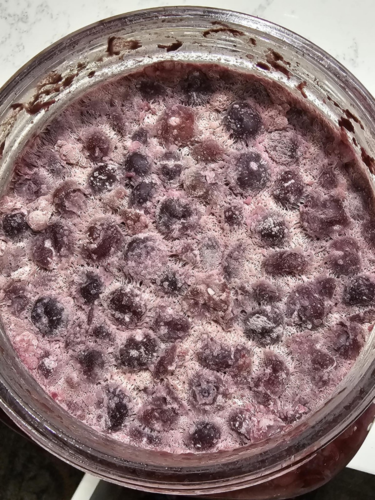 Live Blueberry Vinegar with the “Mother” as Fertilizer & Food Additive 1 L/34 oz