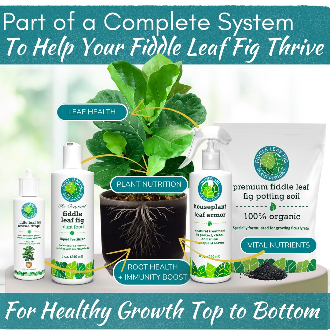 Fiddle Leaf Fig Rescue Drops – Treats Root Rot, Brown Spots, Leaf Drop & Stress
