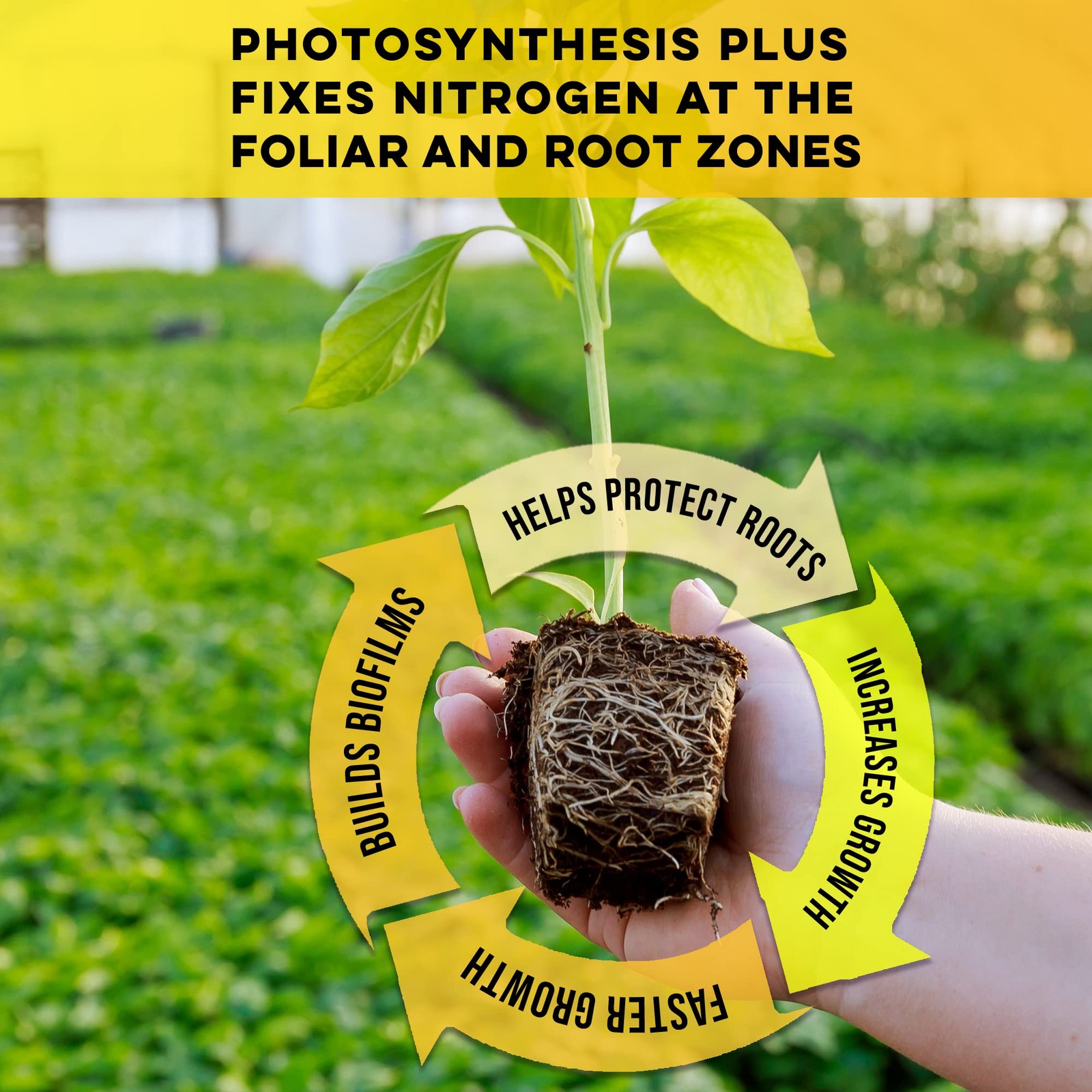 Photosynthesis Plus for Hydroponics Grow Fruits, Vegetables, Herbs, 16oz