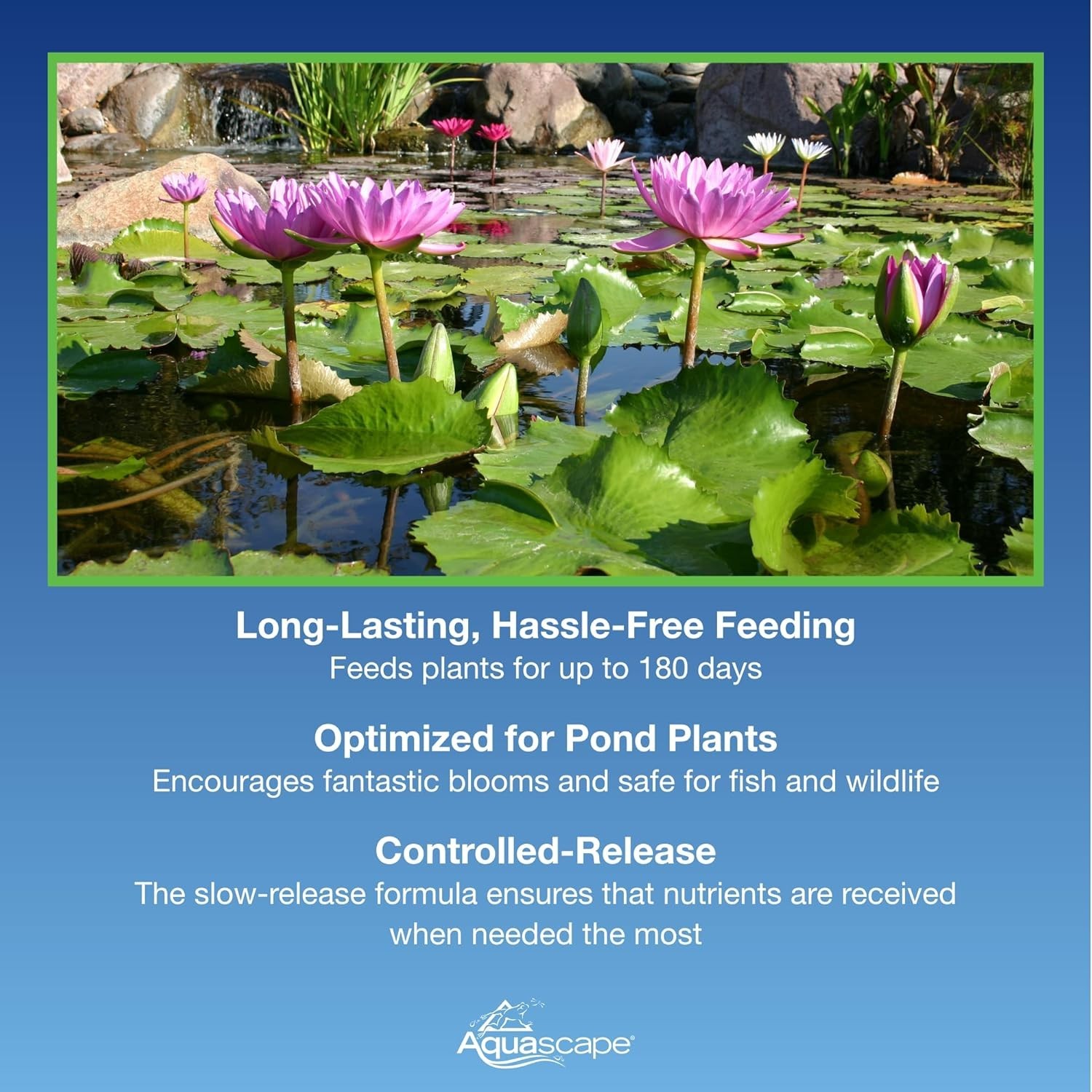 Effortless 2 lb Pond Plant Fertilizer with High Potassium for Spectacular Blooms