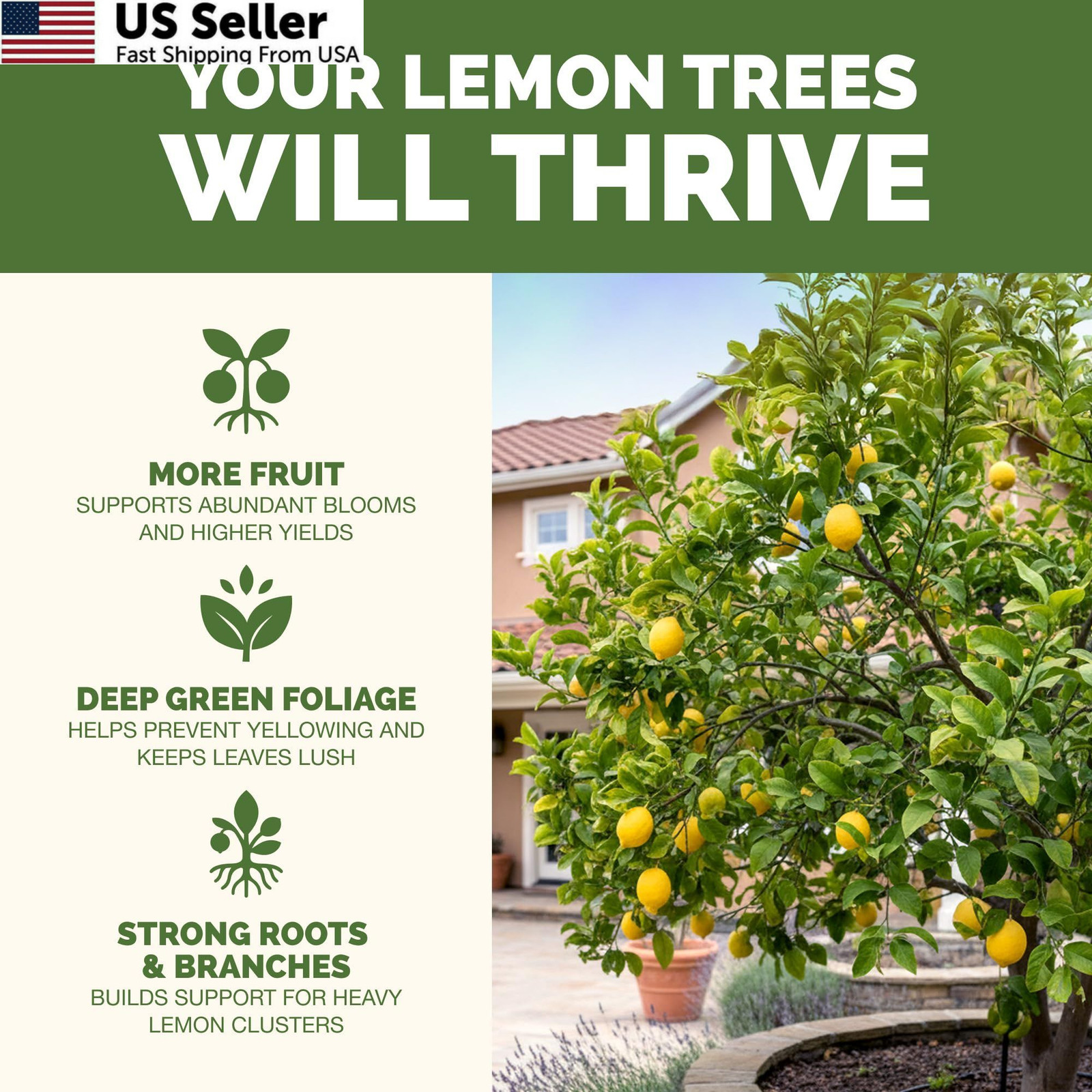 Lemon Tree Fertilizer Liquid Plant Food Fruit Flowering Root Development 8oz USA
