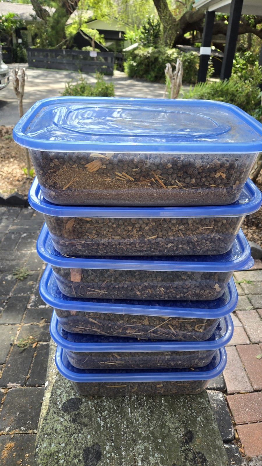 Organic RABBIT BEANS Poop Pellets Manure Cleaned Fertilizer over 6 lbs
