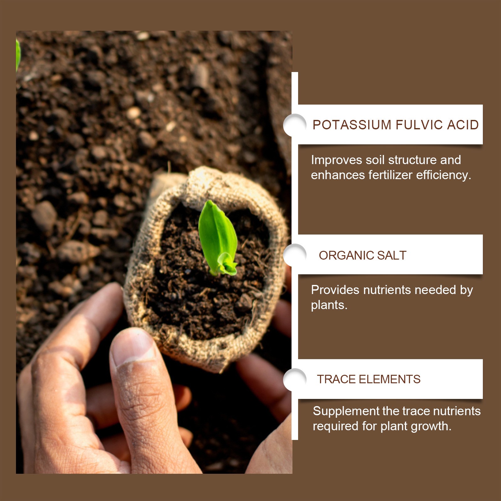 120g Soil Activator – Soil Conditioner, Plant & Flower Fertilizer USA