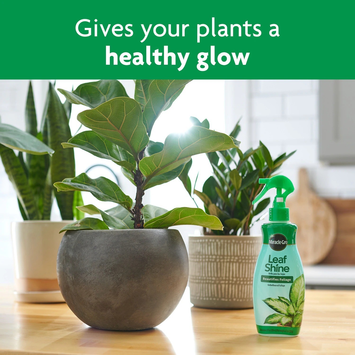 Miracle Gro 8 fl oz Leaf Shine