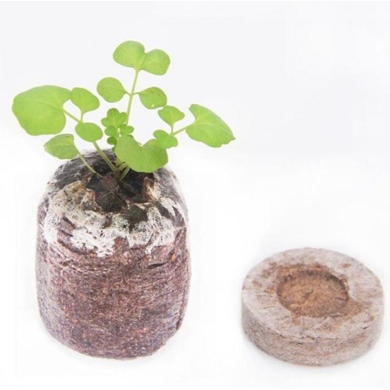 50 Pcs Peat Pellet- 30mm Seeds Plant Starting Compressed Nutrient Fertilizer