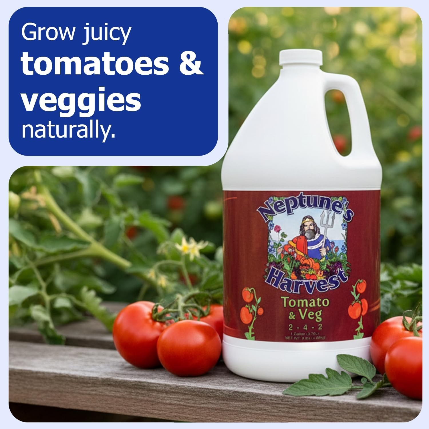 Organic Tomato & Vegetable Fertilizer – Gallon Size