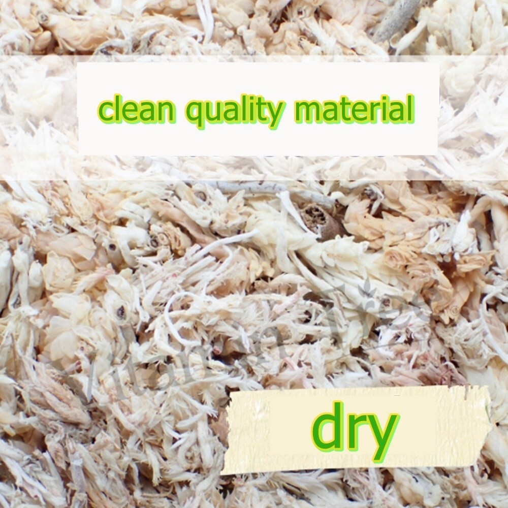 Spagmoss Sphagnum Moss New Zealand Besgrow Loaf Classic Orchid Plant Fiber 3 pcs