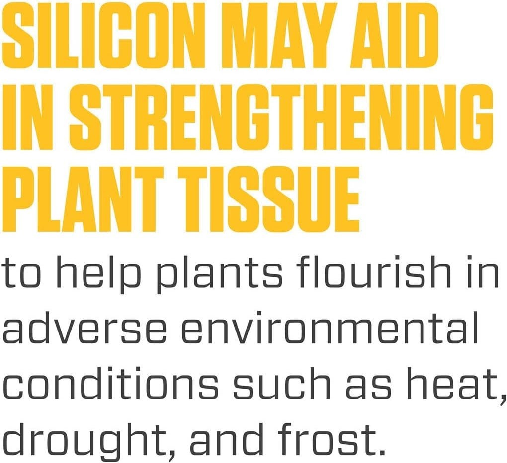 Silica Blast, Plant Supplement, 0-0-0.5, 1 gal.
