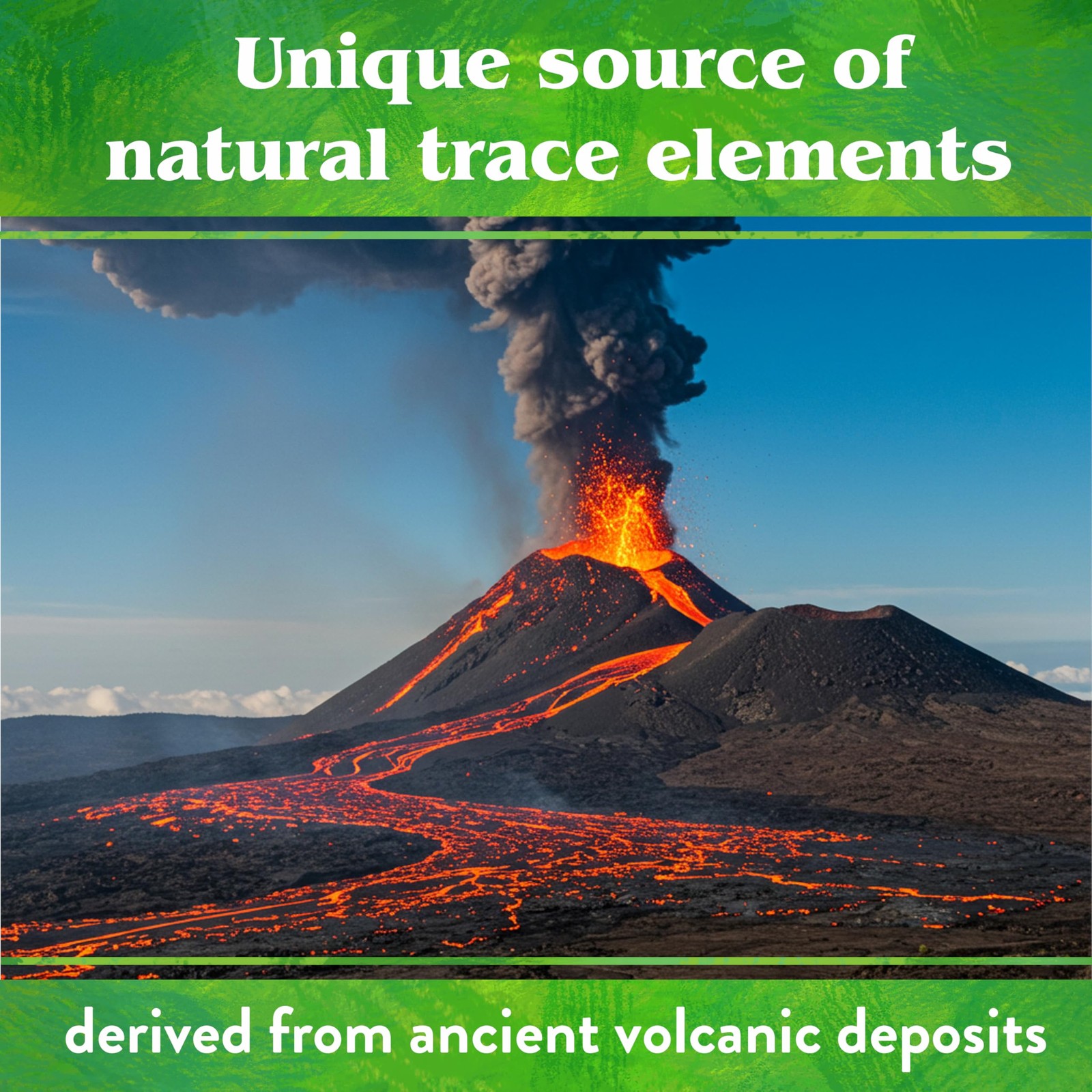 Organic Azomite Powder Trace Minerals – Essential Minerals for Improving Plan…
