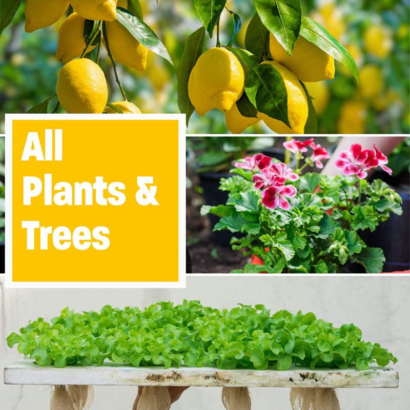 Golden Tree: Best Plant Food For Plants Trees – Yield Increaser – Plant Rescue