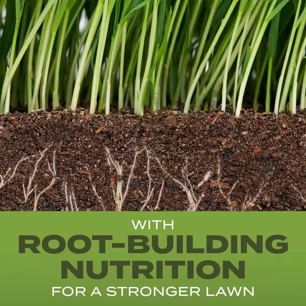 Turf Builder 32 Lbs. Grass Seed Tall Fescue Mix with Fertilizer and Soil Improve