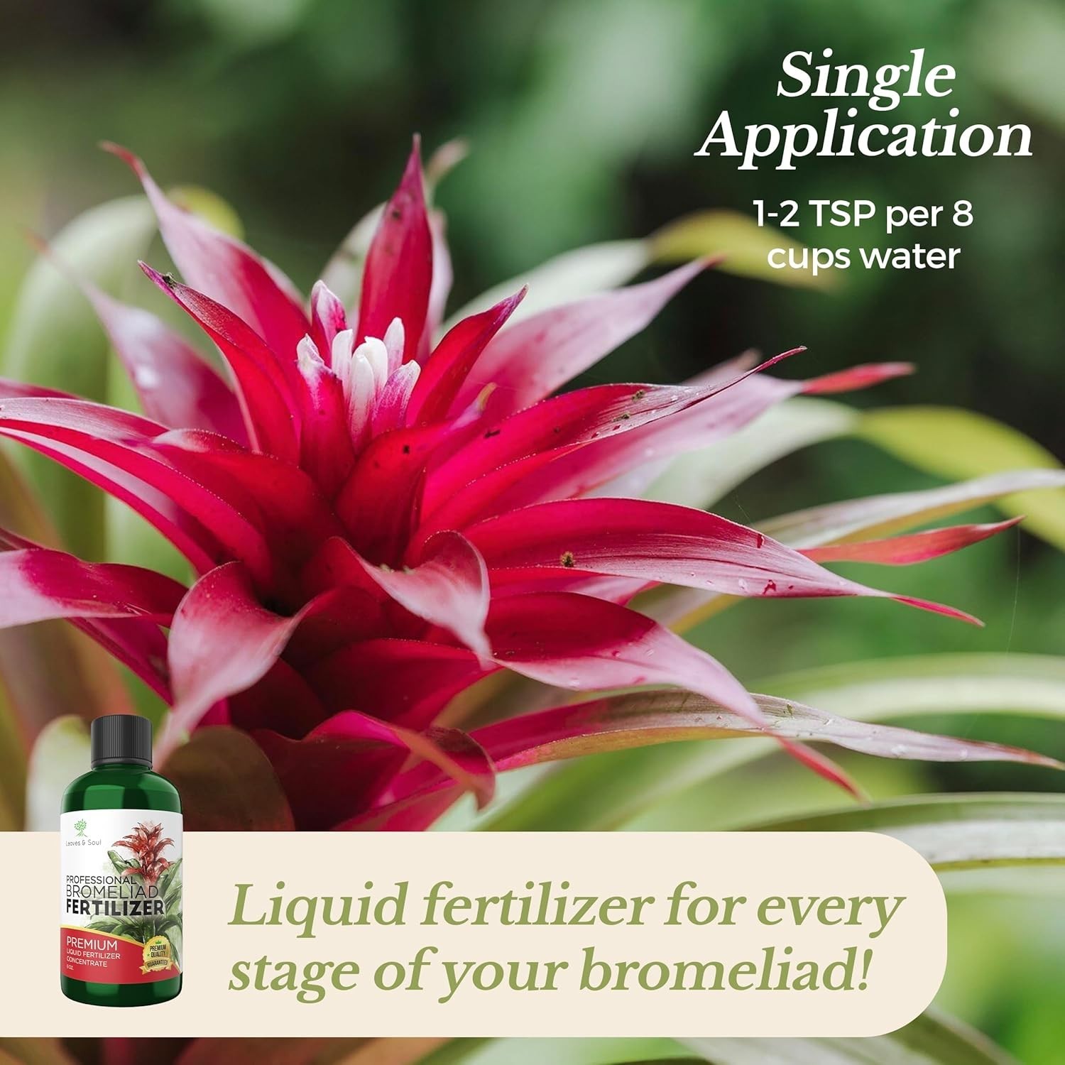 Bromeliad Fertilizer Liquid 3-1-2 Concentrate 8 oz