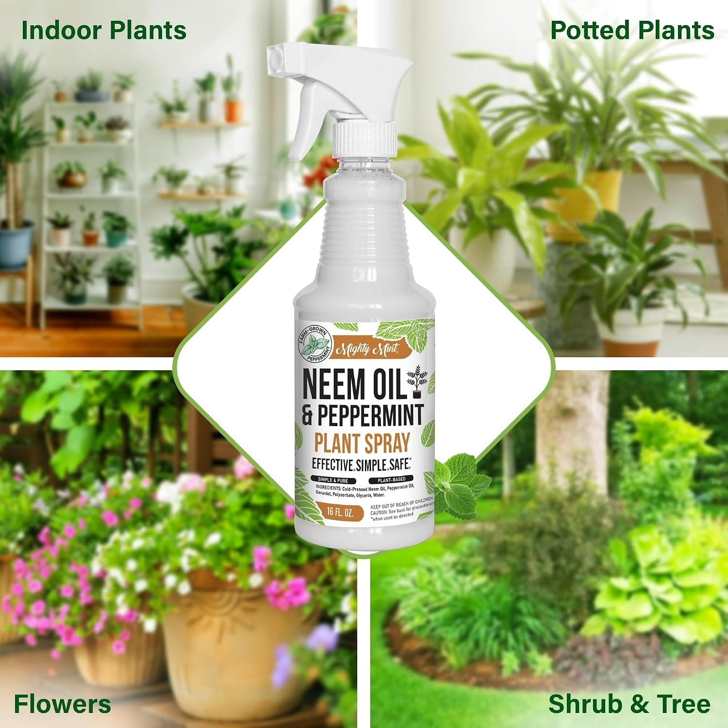 Neem Oil & Peppermint Plant Nutrient Spray – Natural Leaf Shine for Indoor & …