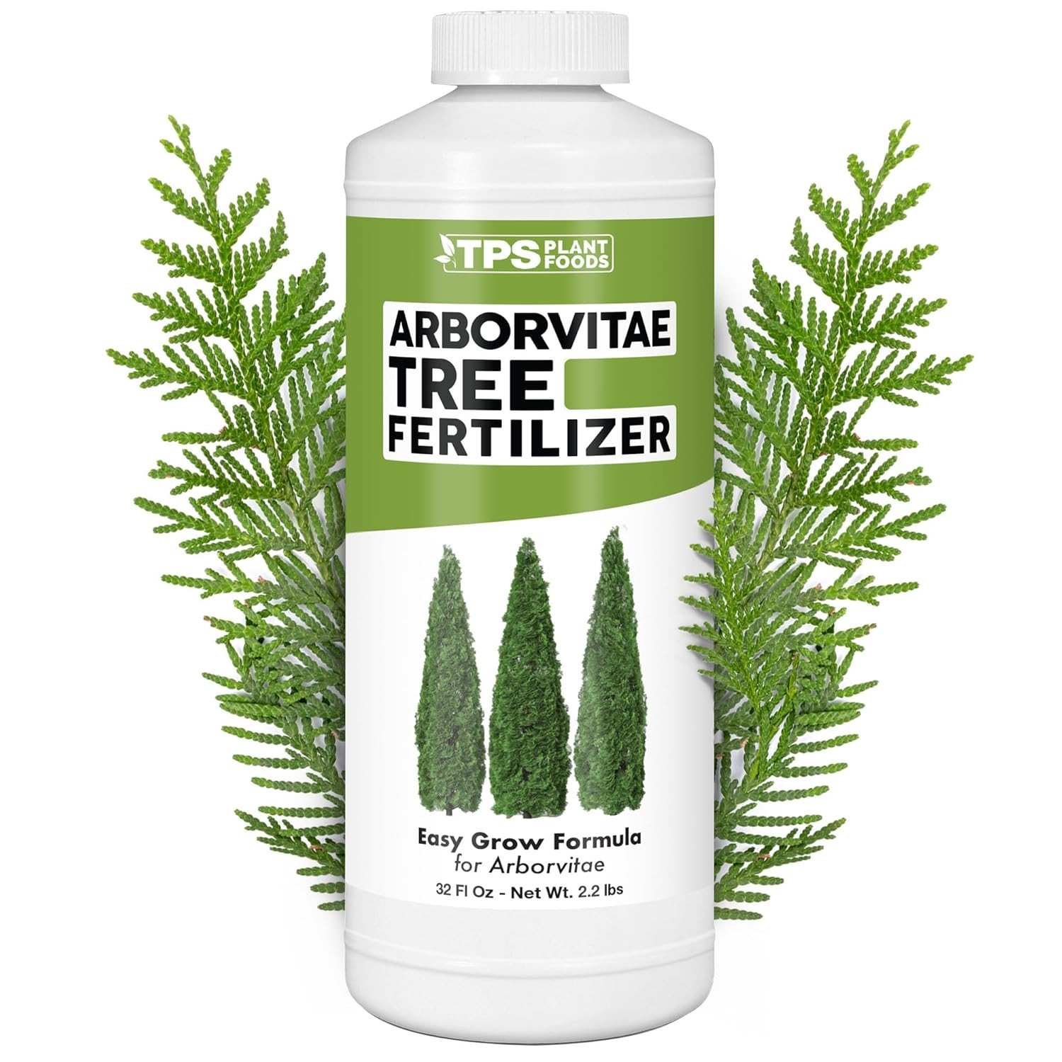 Arborvitae Tree Fertilizer for All Arborvitaes, Evergreen Shrubs and Thuja Tr…