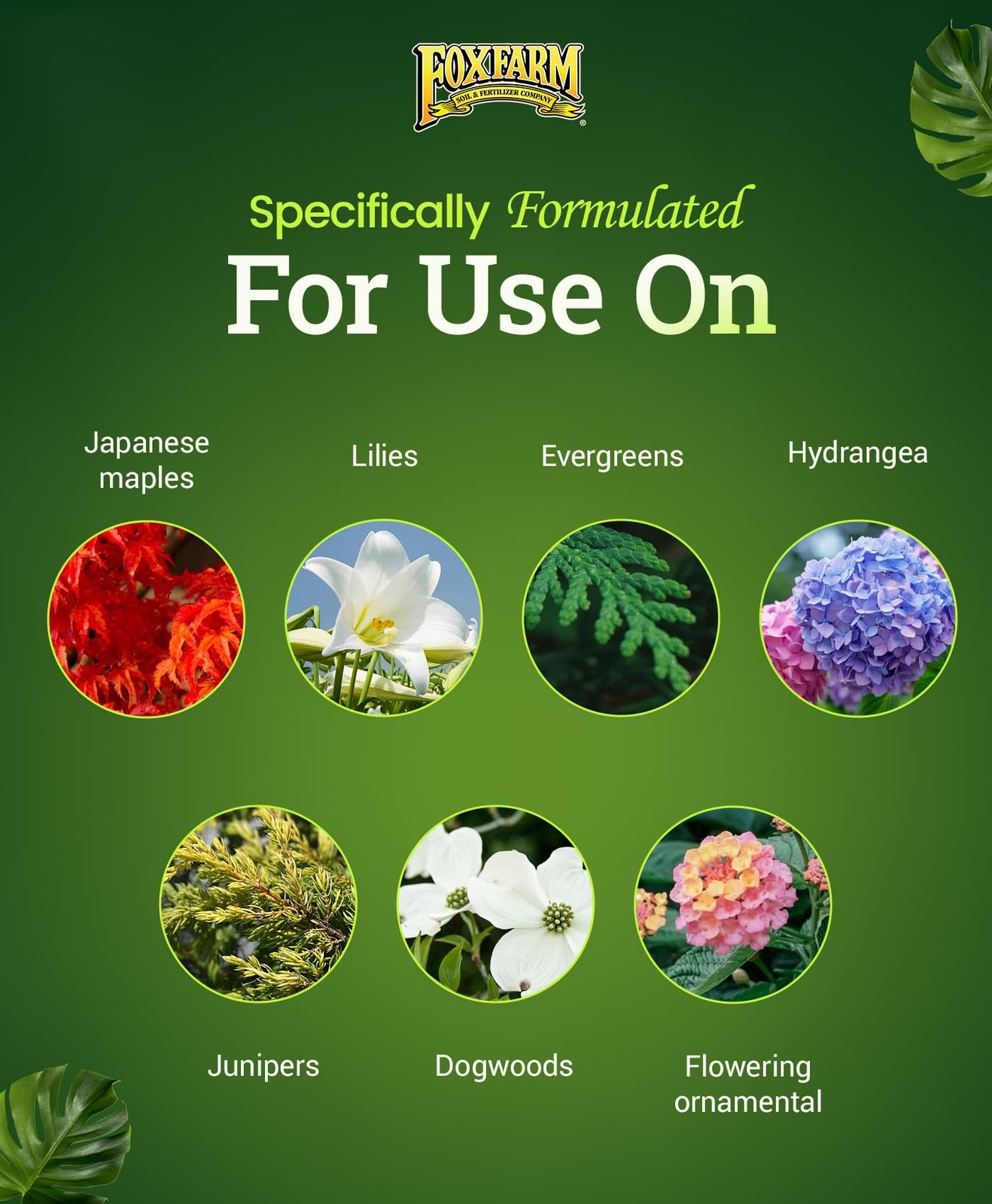 FoxFarm Happy Frog Japanese Maple Fertilizer Supports Vegetative Growth & Strong