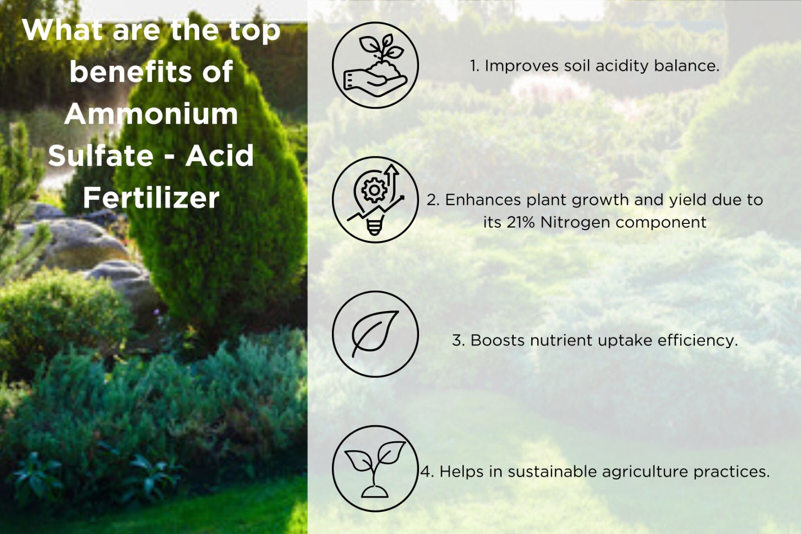 Ammonium Sulfate – Acid Fertilizer by Old Cobblers Farm