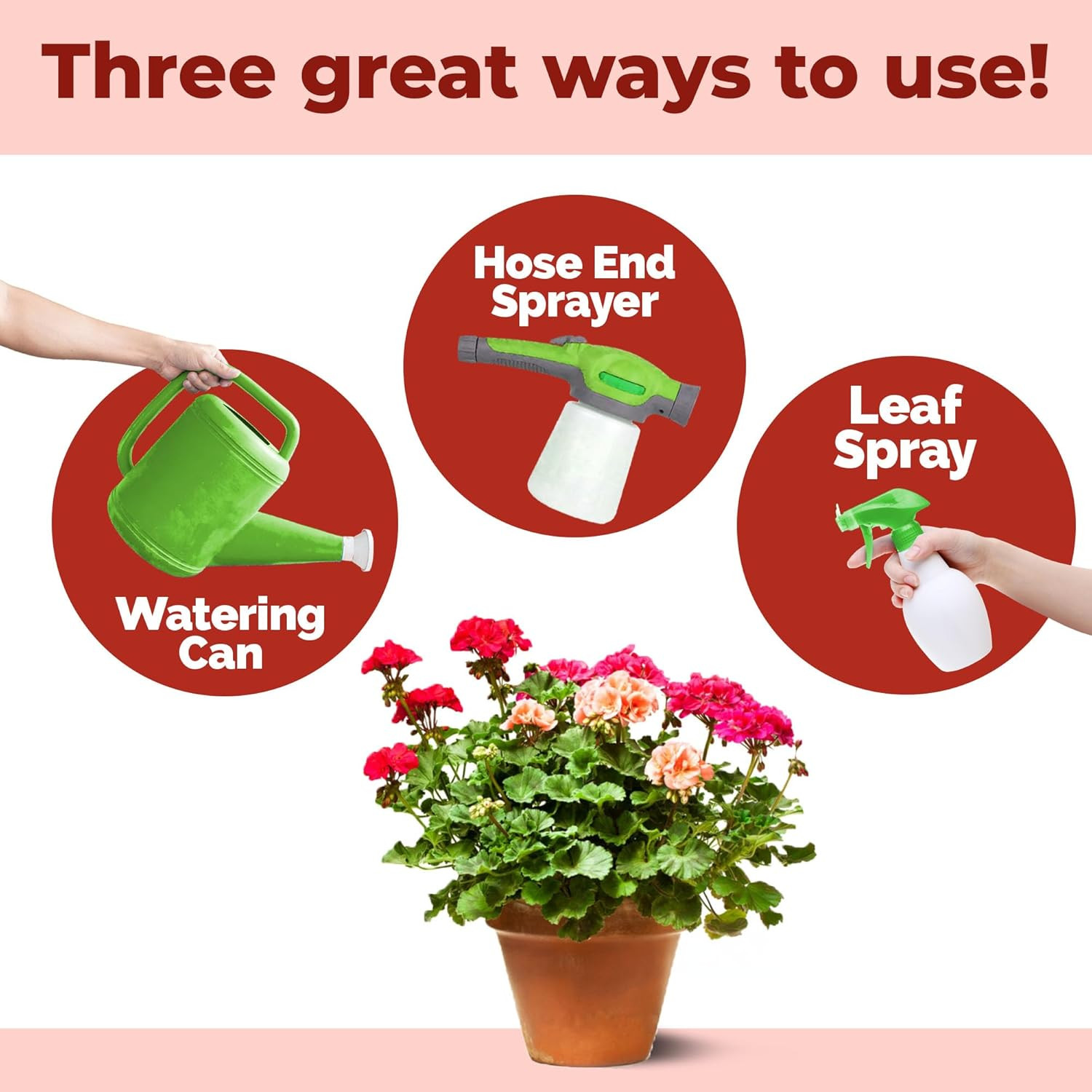 Geranium Fertilizer – Liquid Plant Food for Vibrant Blooms, Stronger Roots & Hea