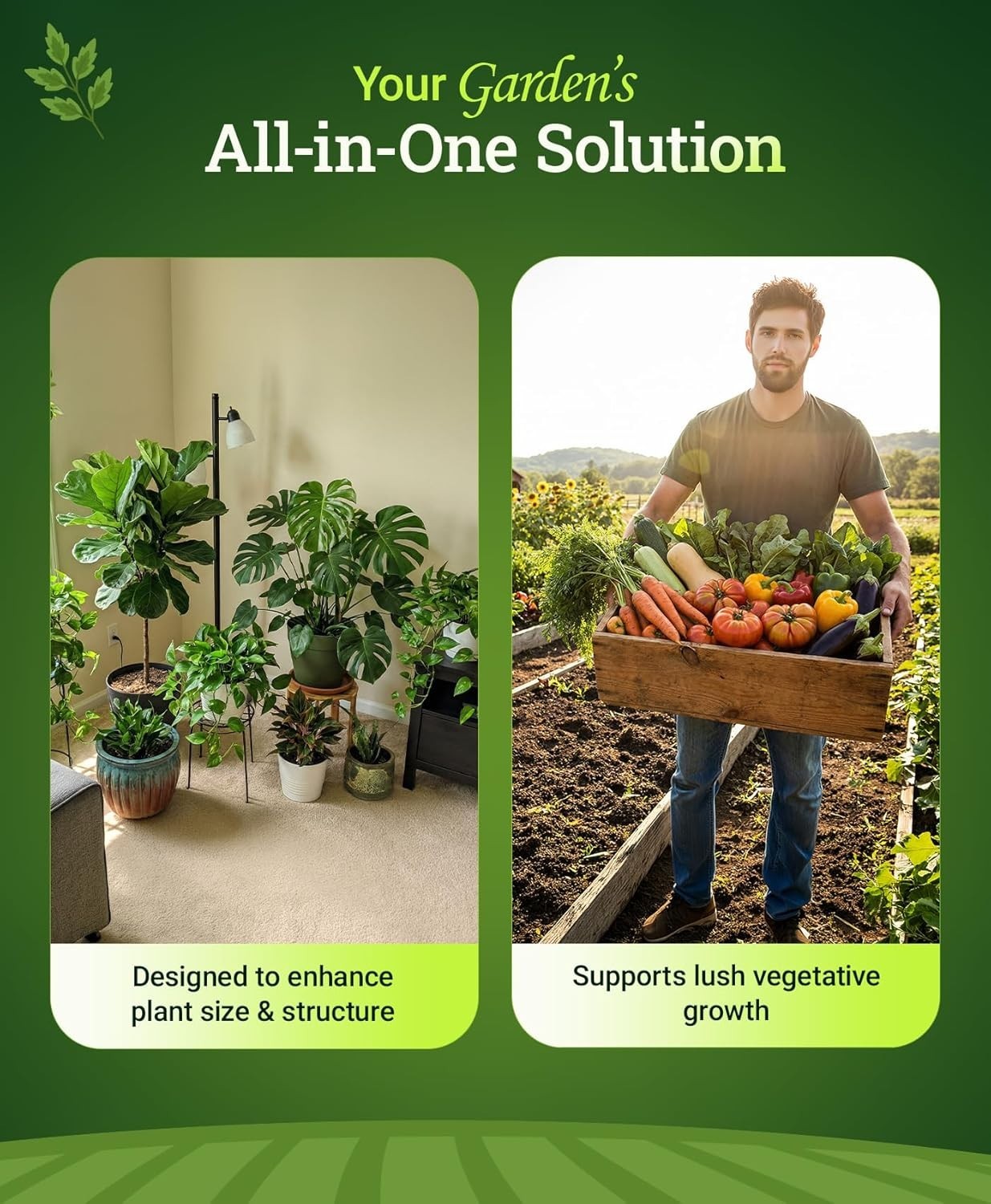 Nutrient-Rich 1 Quart Grow Big Concentrate – Perfect for Indoor & Outdoor Plants
