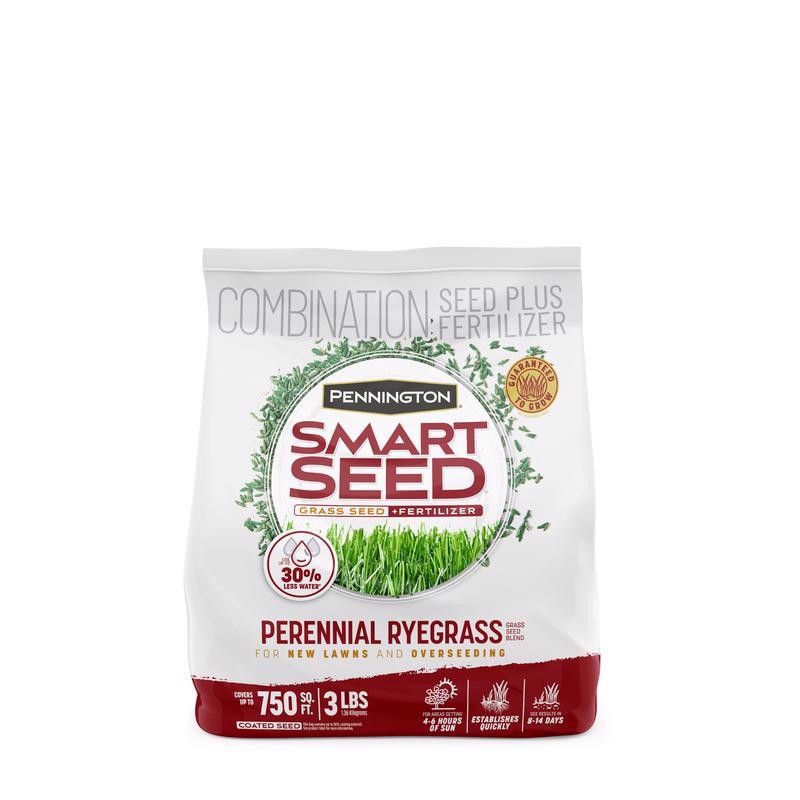 Pennington Smart Seed Perennial Ryegrass Sun or Shade Grass Seed & Fertilizer 3