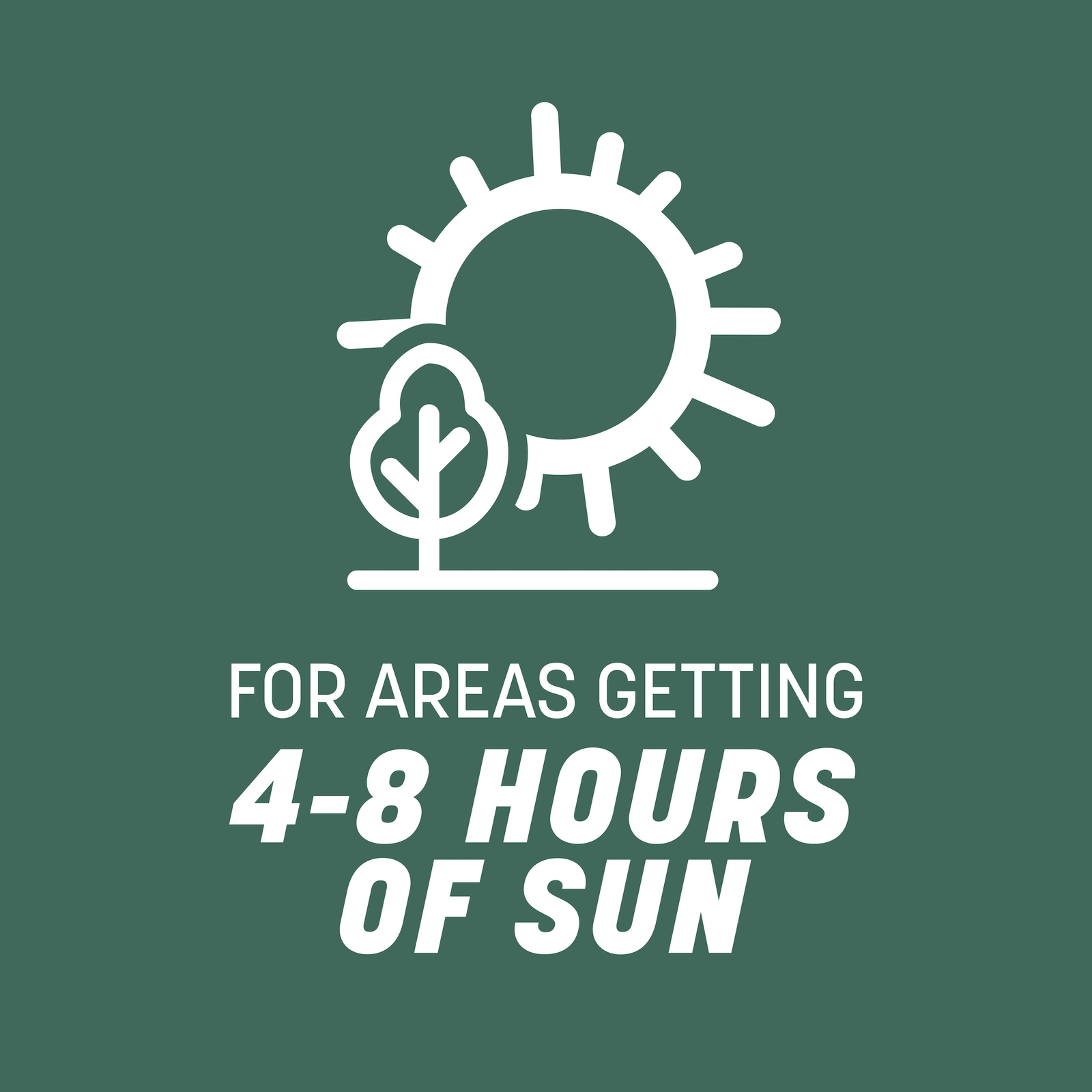 31 Tall Fescue Grass Seed for Sun to Partial Shade 20 lb Covers 4,000 sq. ft.