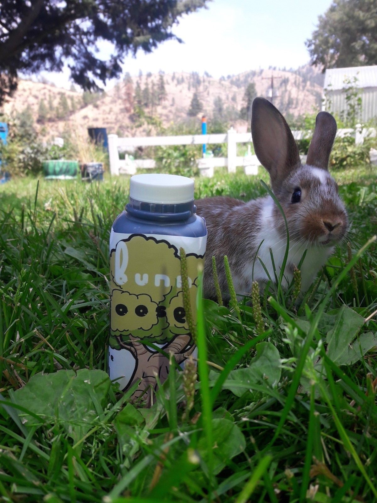 Bunny Joose ORGANIC rabbit manure liquid fertilizer soil / foliar feed