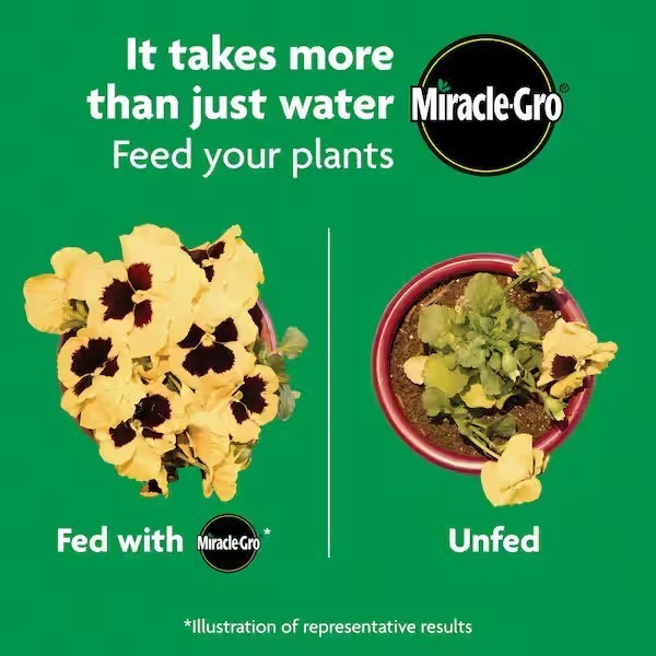 Miracle-Gro Shake n Feed All Purpose Plant Food 1 lb. InGround & Container Plant
