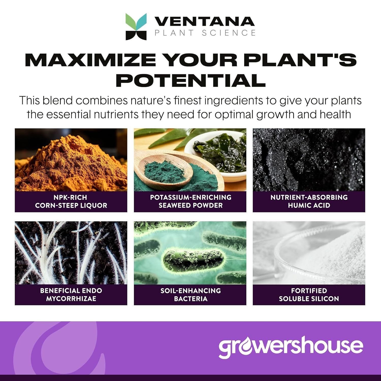 Stash Blend Premium Plant Additive Root Hormone for Plants – with Corn-Steep Liq