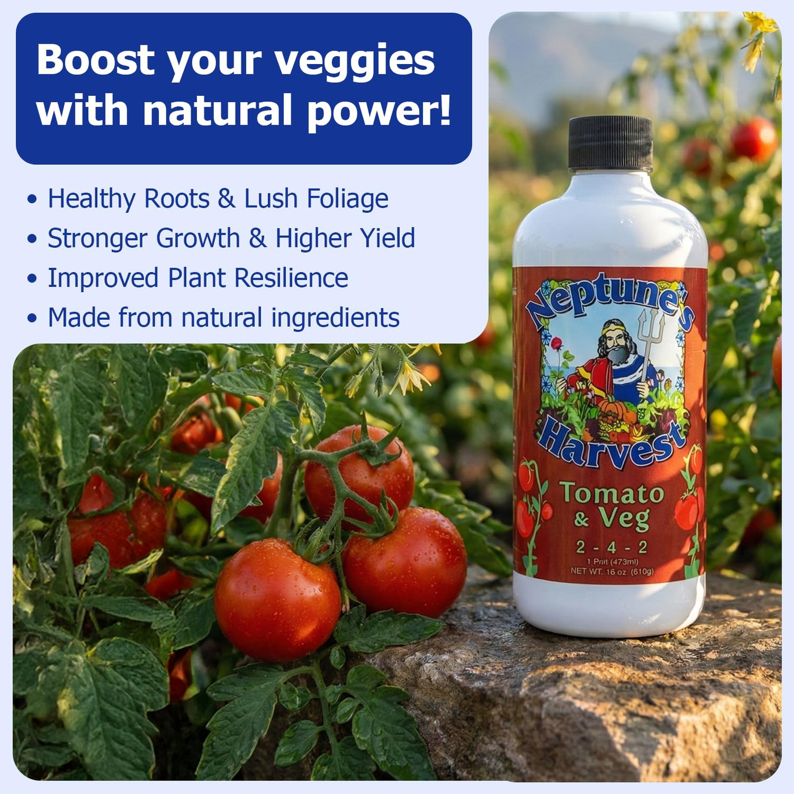 Garden Fertilizers