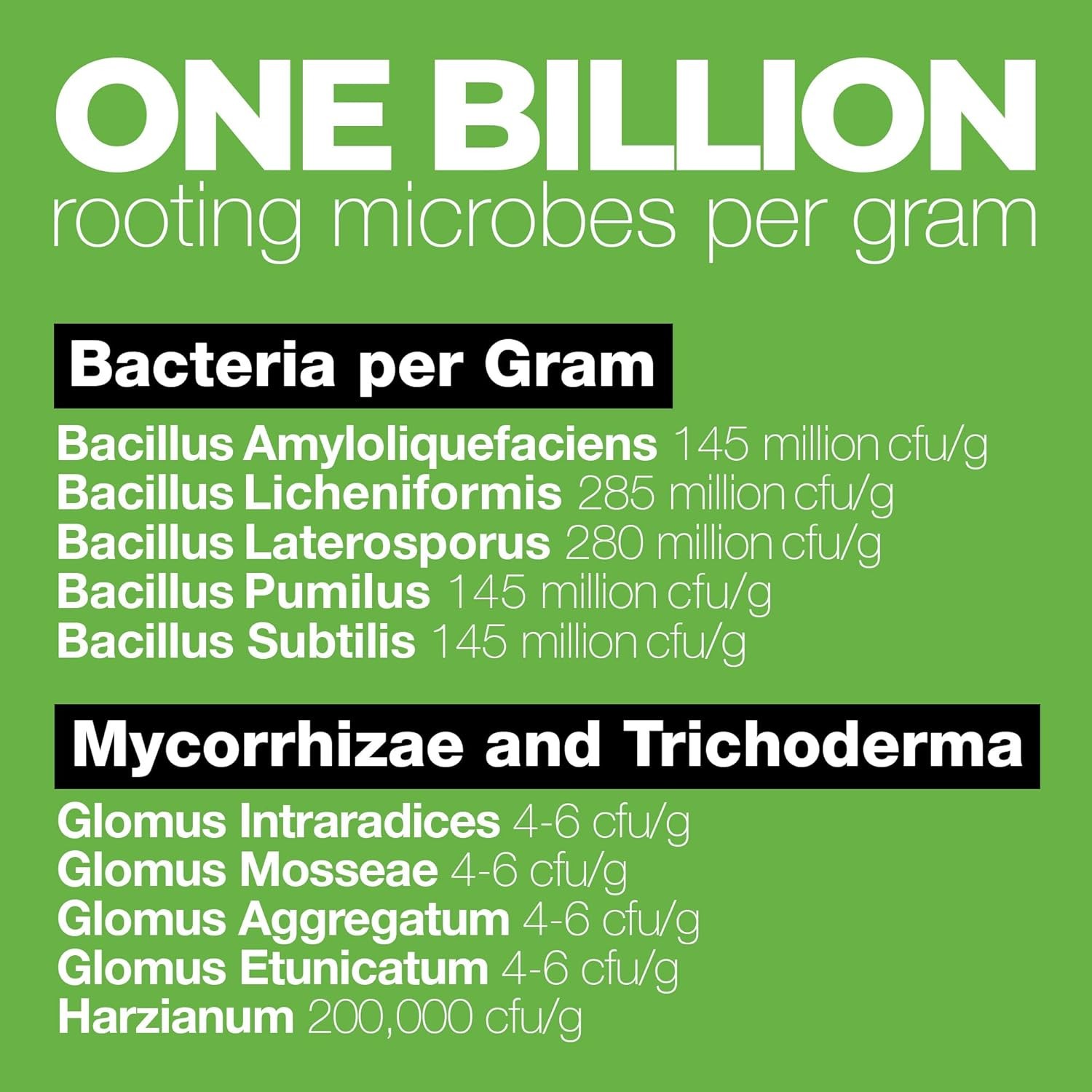 Microbial Root soil Enhancer bacillus mycorrhizae trichoderma transplant shock