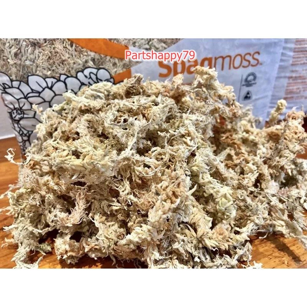 Spagmoss Sphagnum Moss New Zealand Besgrow Loaf Classic Orchid Plant Fiber 3 pcs