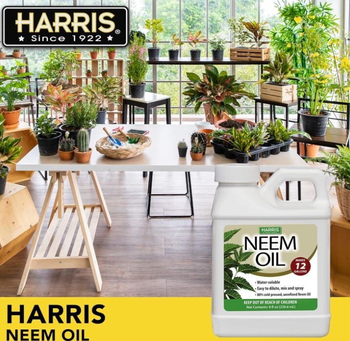 Neem Oil Cold Pressed Water Soluble Concentrate, Garden Healthy Makes 12 Gallons