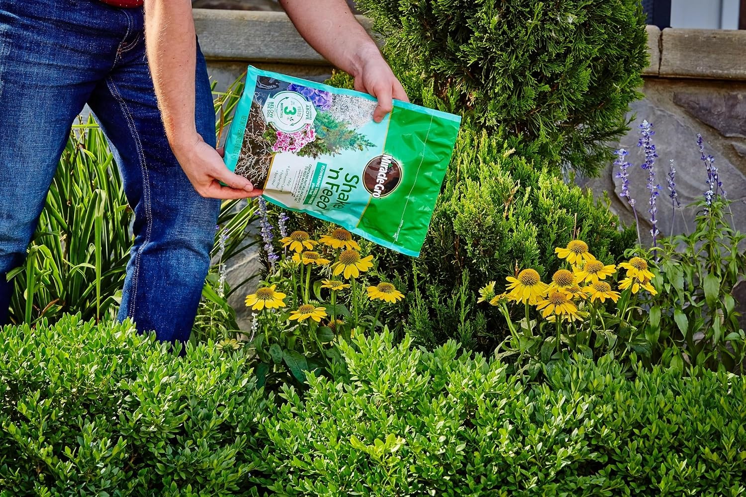 Shake N Feed Plant Food For Trees & Shrubs 8 lb Miracle-Gro Fertilizer