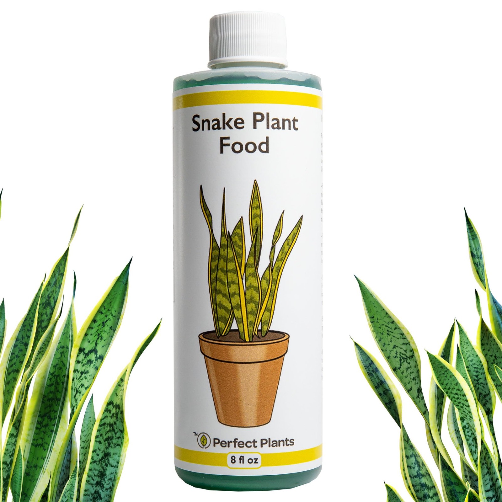 Liquid Snake Plant Fertilizer | 8oz. of Premium Concentrated Sansevieria Food…