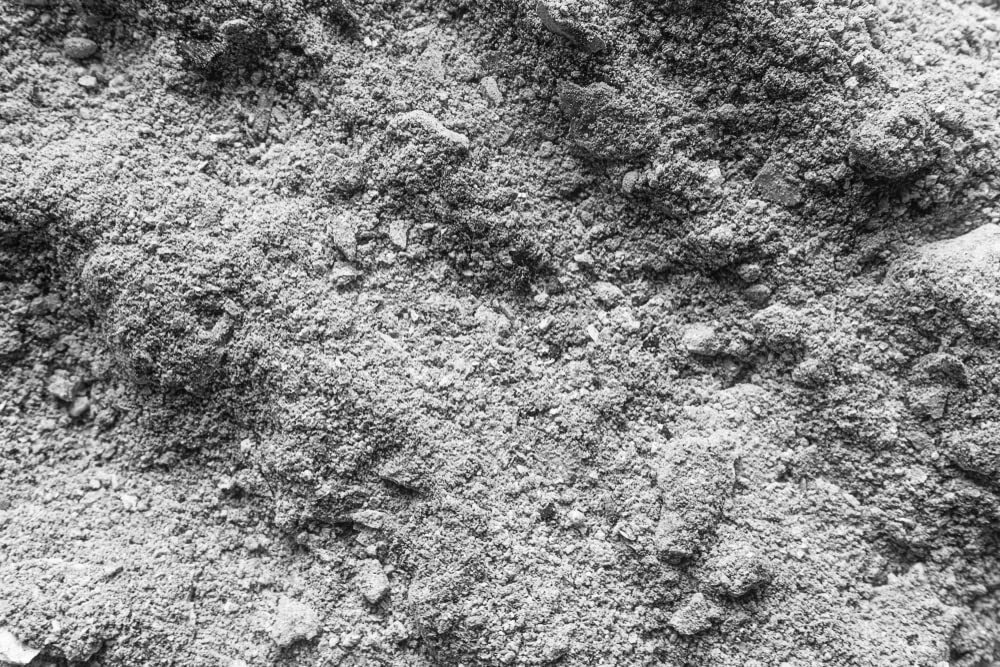 Wood Ash – 2 Pounds Unwashed Wood Ash – Garden Use or Chicken Bath