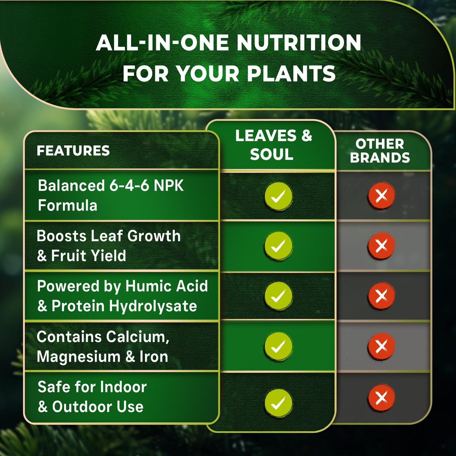 Evergreen Tree Fertilizer 6-4-6 Liquid Plant Food 32 oz for Healthy Growth