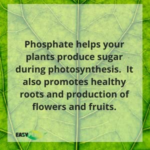 TRIPLE SUPER PHOSPHATE FERTILIZER 0-46-0 | phosphorus fertilizer for gardens,…