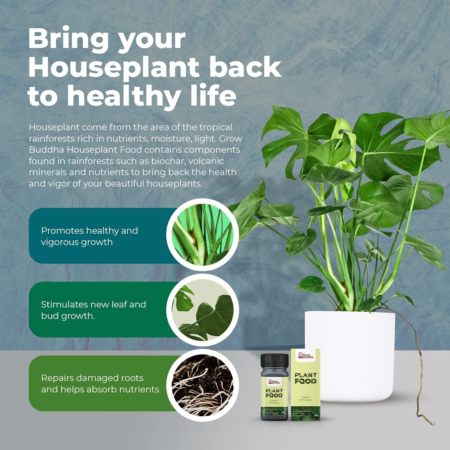 Houseplant Food – Granular Organic Plant food Dirt All Purpose for Healthy