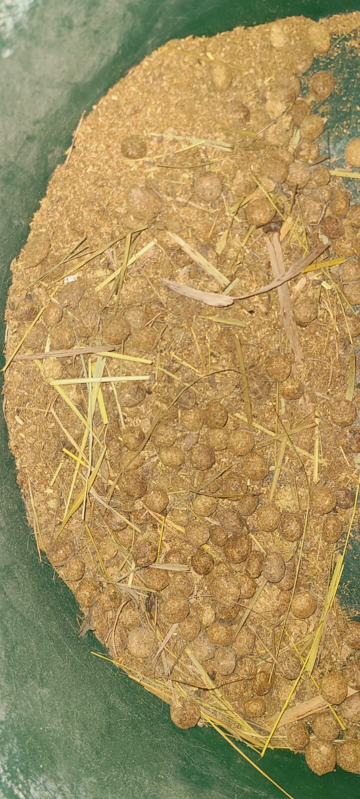 3 1bs Pound Poop Pellet Manure Organic Garden Fertilizer