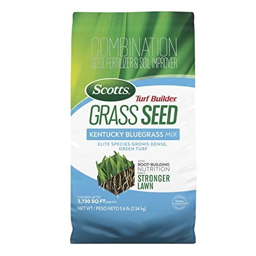 Kentucky Bluegrass Seed Mix with Fertilizer & Soil Improver – Covers 3,730 sq ft