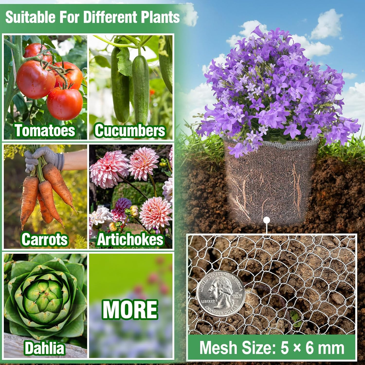 5 Gallon Plant Root Protector for Gopher Voles Moles, 6 Pack Stainless Steel Gua
