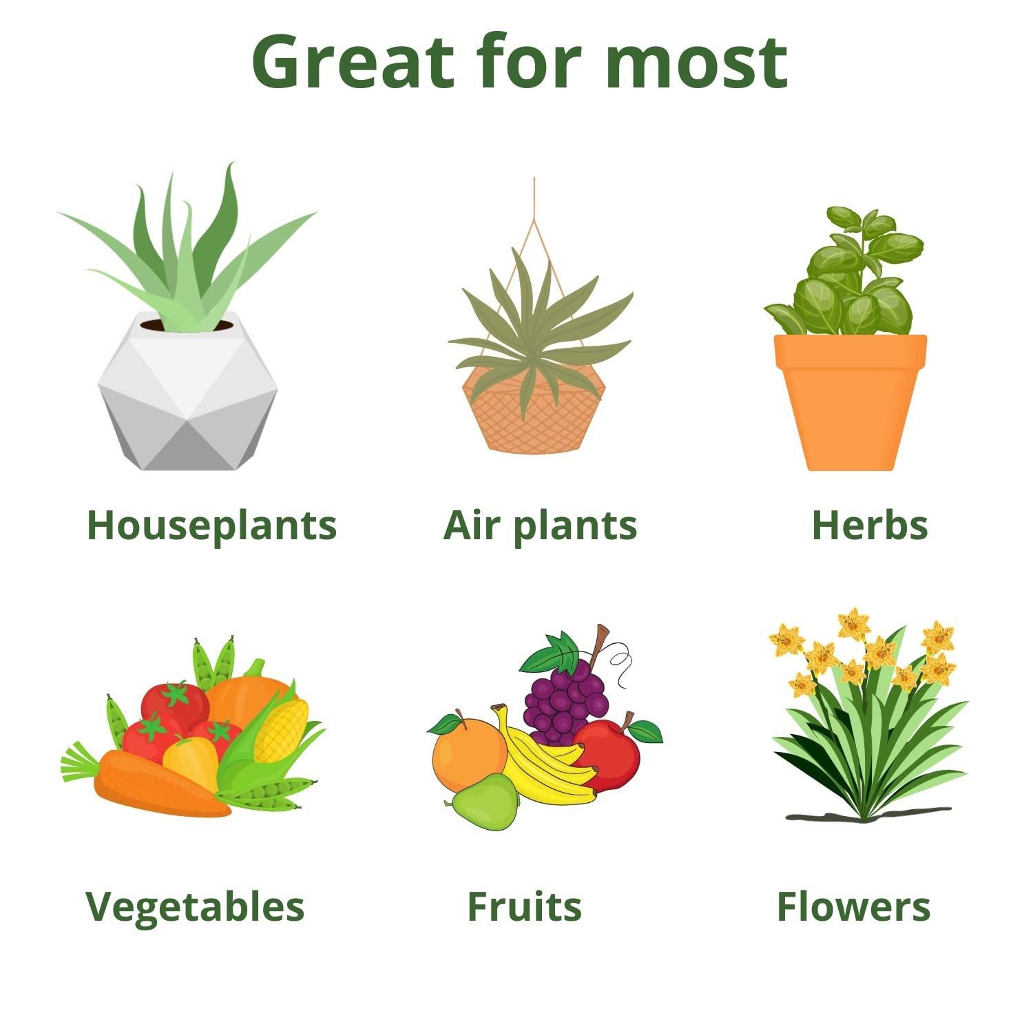 GS Plant Foods All Purpose Water Soluble 20-20-20 Fertilizer Balanced NPK Pla…