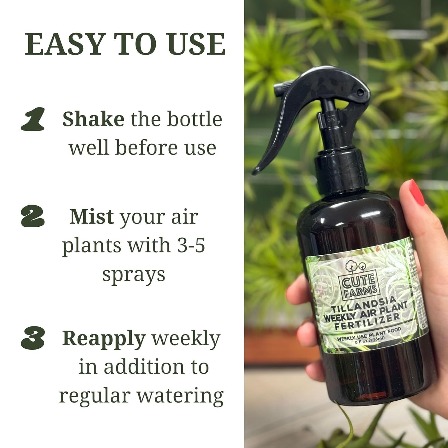 High-Quality 8 oz. Tillandsia Fertilizer Spray – Perfect for Air Plant Care