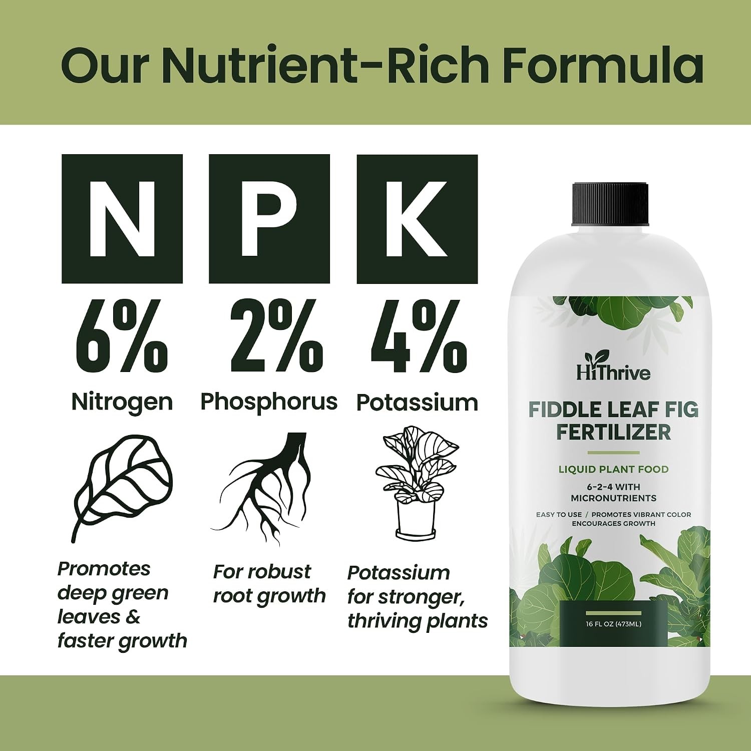 Fiddle Leaf Fig Fertilizer, Liquid Feed for Strong, Healthy Growth, 16oz | HiThr