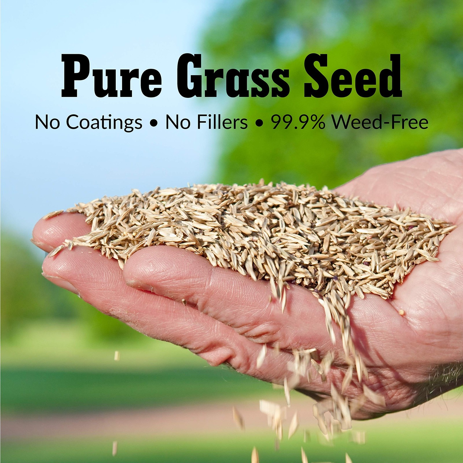 Trifecta II Gray Leaf Spot Resistant Perennial Ryegrass Blend 50 lb. Bag | Co…