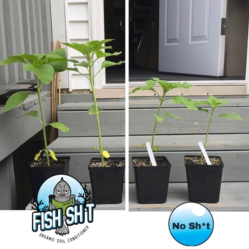 Head Farms Organic Soil Conditioner for Yield and Flavor Enhancement.