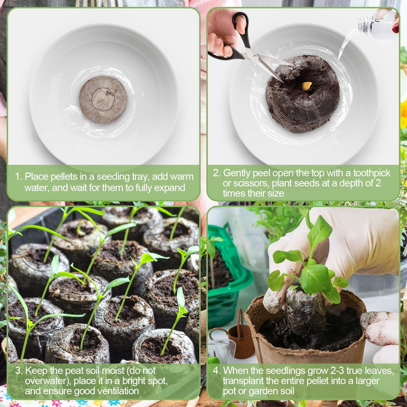 50 Pcs Seed Starter Peat Pellets Pods – Compressed Soil Plugs for Seedlings, Her