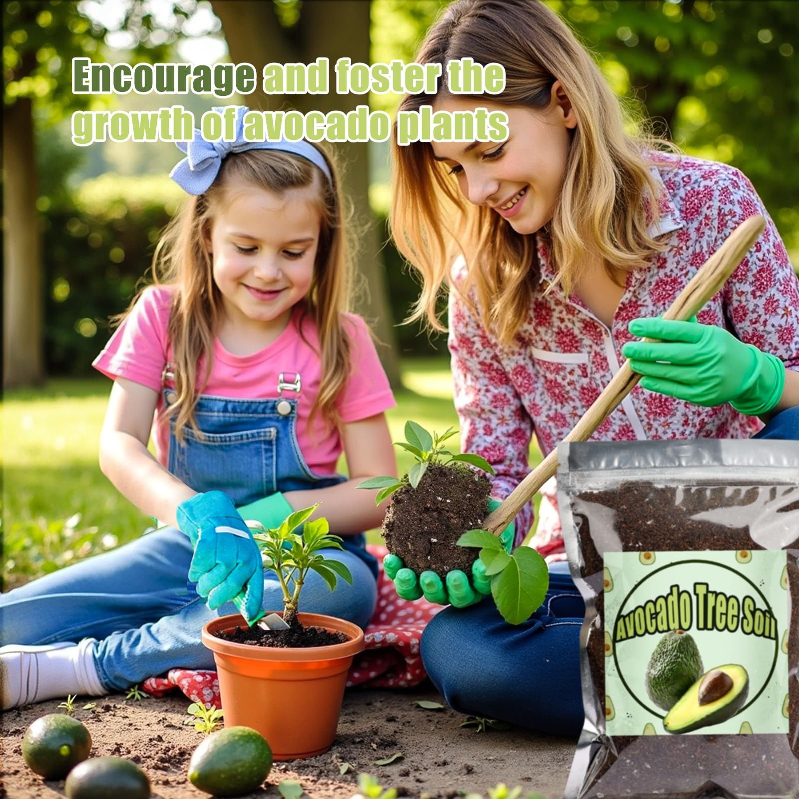 Organic Avocado Tree Potting Soil Mix 1qt, Enhance Growth and black