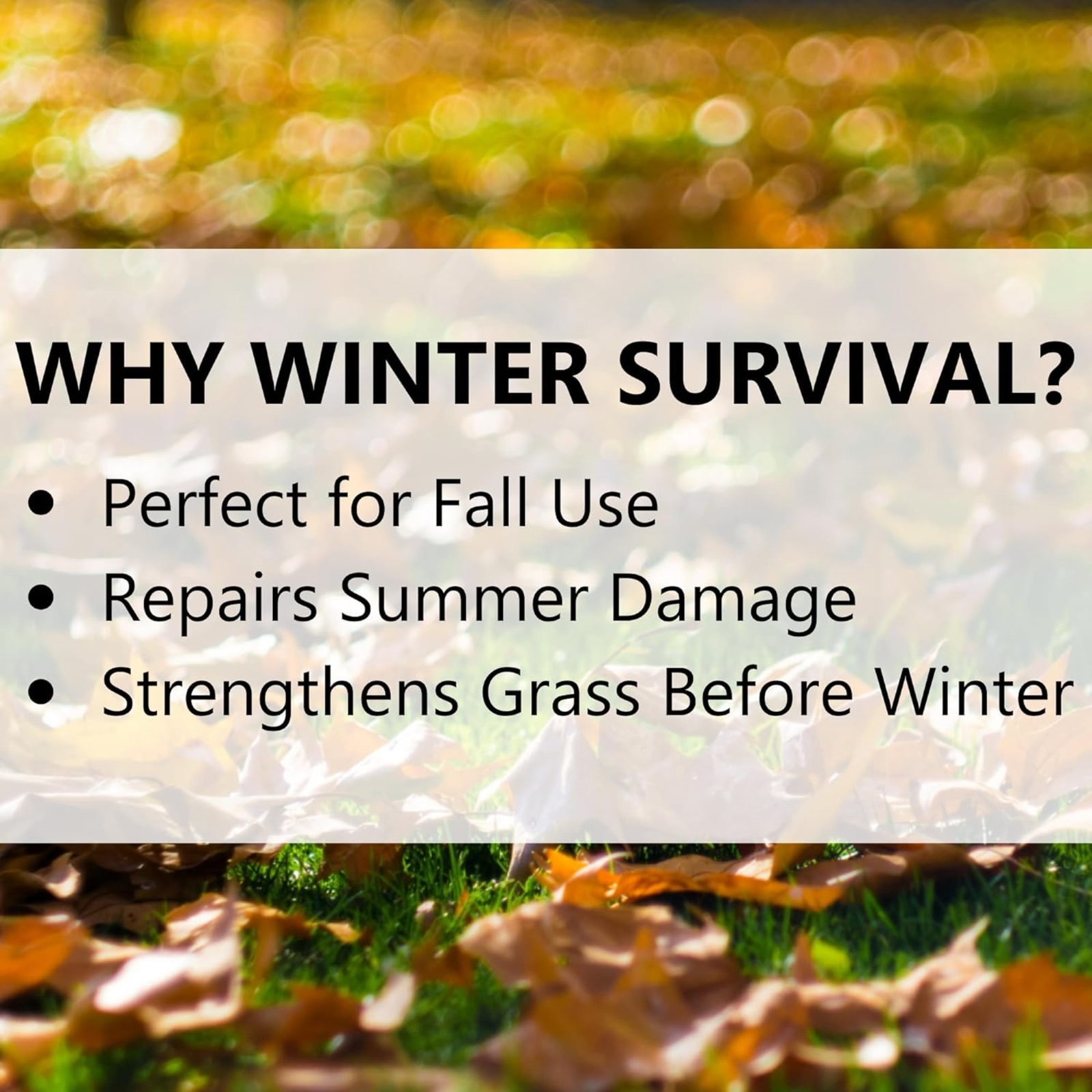 Jonathan Green Winter Survival Fall Lawn Fertilizer, 5M (5,000 sq ft Coverage)